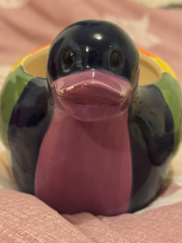 Rainbow ceramic duck flower - rainbow,