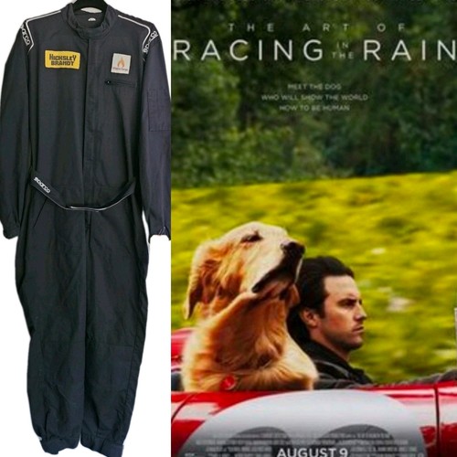 Art racing the rain - racing, in