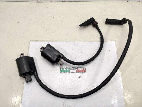 Pair ignition coils yamaha - ignition,