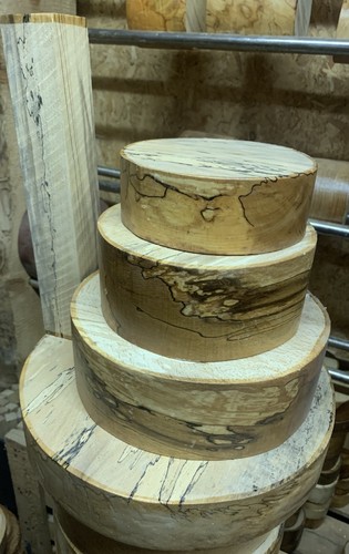 Spalted beech wood turning - spalted,