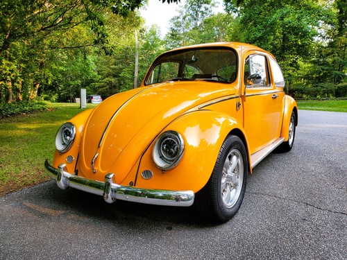 1966 volkswagen beetle - volkswagen,