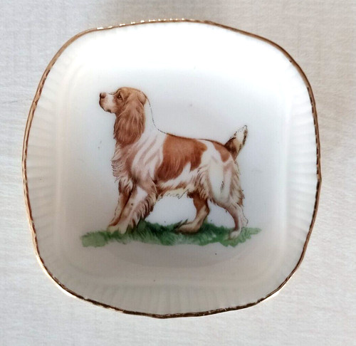 Small collectable springer - small,