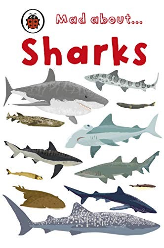 Mad about sharks ladybird - sharks, (ladybird