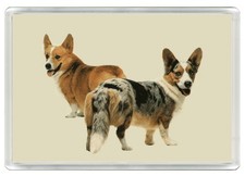 CORGI CARDIGAN & WELSH CORGI