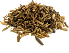 Dried Calciworms 200G Premium Wild Bird & Hedgehog Food Higher Calcium than Mea