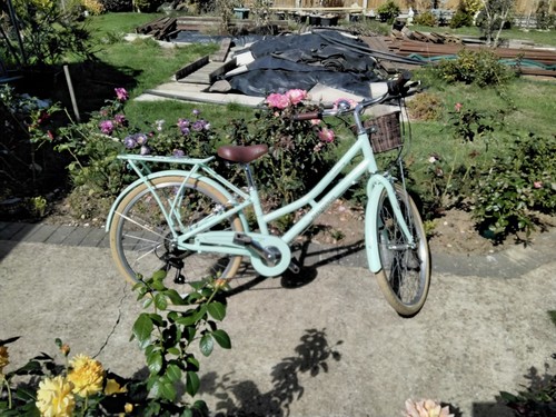 ladies bike
