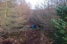 Photo 6x4 On The Hawk