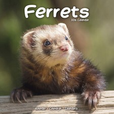 Ferrets 2026 Calendar Gift