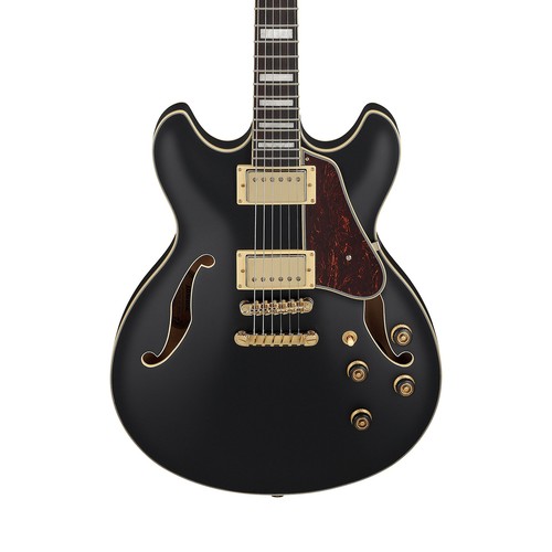 Ibanez as73g bkf semi - ibanez, semi-hollow
