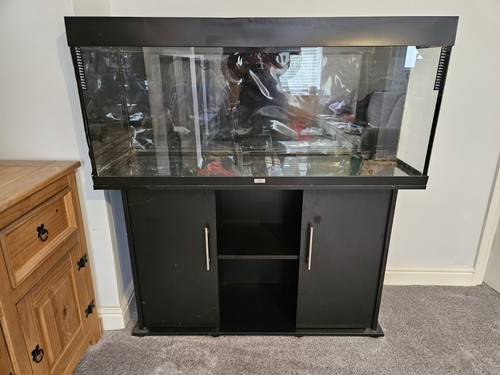 Juwel rio 240 led aquarium - aquarium, and