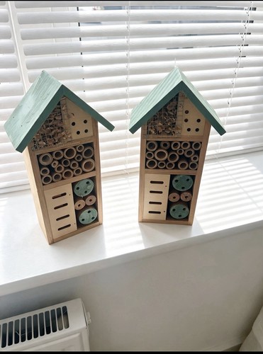 Wooden insect bug house - bug,