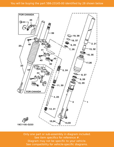 Yamaha oil seal - yamaha,