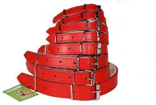 Real leather dog collar - collar, red