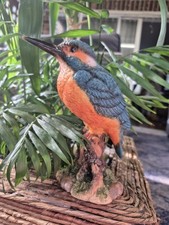 Kingfisher on Stump Highly