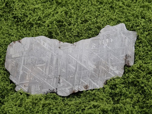 Muonionalusta iron meteorite - iron,