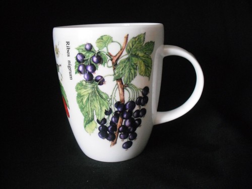 Ringtons tea bone china mug - bone,