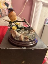 Country Artists Kingfisher With Marshmarigolds