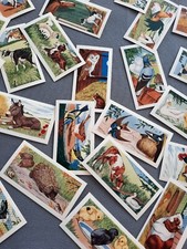 Ewbanks Animals of the Farmyard 1960 - Mint