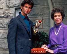 Falcon Crest [Cast] (38693)
