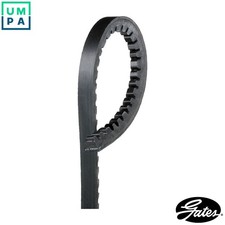 VBELT 6262MC FOR VW LT28-50/�/Platform/Chassis/Van/Bus PEUGEOT AUSTIN DL 6cyl 99