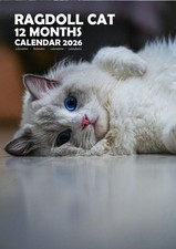 Ragdoll Cats 2026 Calendars (A3)