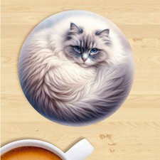 Ragdoll Cat Coaster