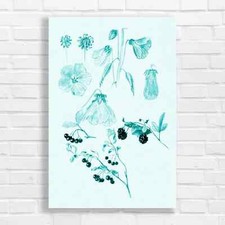 Botanical Sketches Teal Canvas