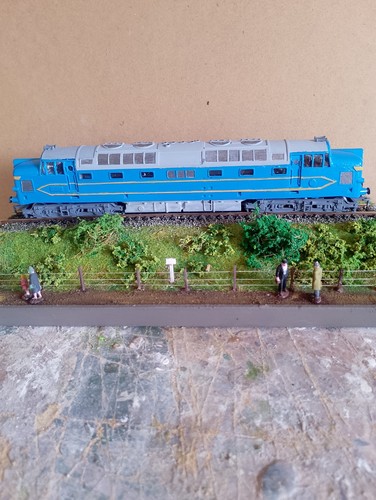 Gauge static model - a, oo