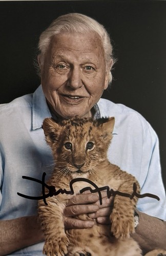 Genuine sir david attenborough - sir,