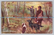 R811918 Pheasant Shooting With
