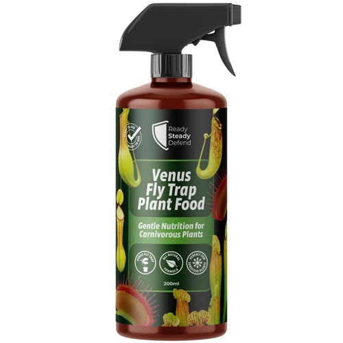 Venus fly trap plant food - fly,