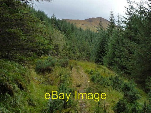 Photo 6x4 glen orchy - photo,