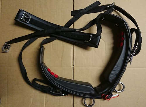 Libby driving saddle horse - driving, (