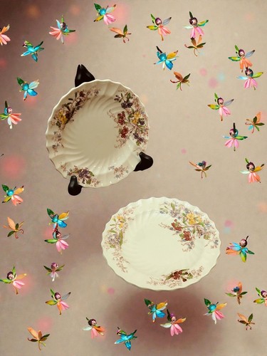 Spode fairly dell bread - spode,