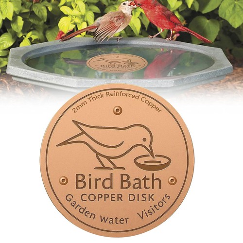Bird bath copper disk - bath, for