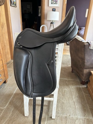 Carl hester pds integro 5 - integro, 17.5