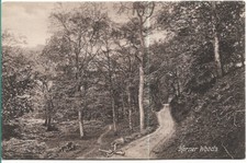 LOVELY OLD FRITH POSTCARD - HORNER WOODS - EXMOOR - SOMERSET C.1908