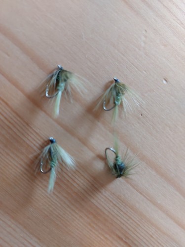 Cruncher flies olive - flies,