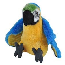 Blue gold parrot soft - gold, teddy
