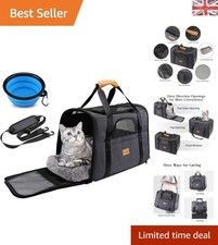 Airline Approved Black Cat