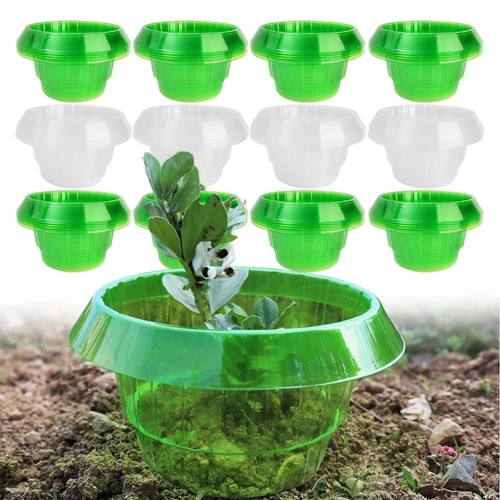 Pcs vegetable slug collars - vegetable,
