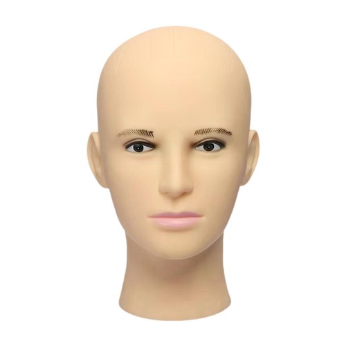 Male bald mannequin head - bald,