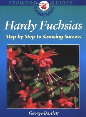 Hardy fuchsias step - fuchsias:,