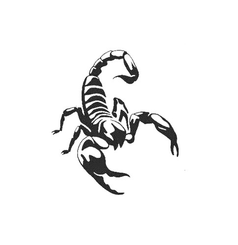 Large scorpion car bonnet - large,