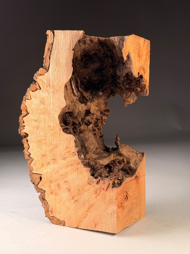 Hollow live edge burr elm - live,