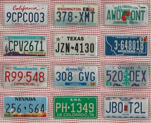 Job lot set american - lot,
