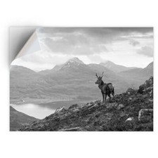 1 x Vinyl Sticker A4 - BW -