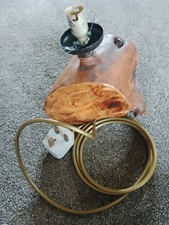 Lovely Small Bespoke Eucalyptus Lamp