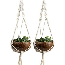 [Set of 2] Planter Pot with