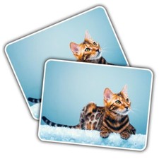 2x Vinyl Sticker Cute Bengal